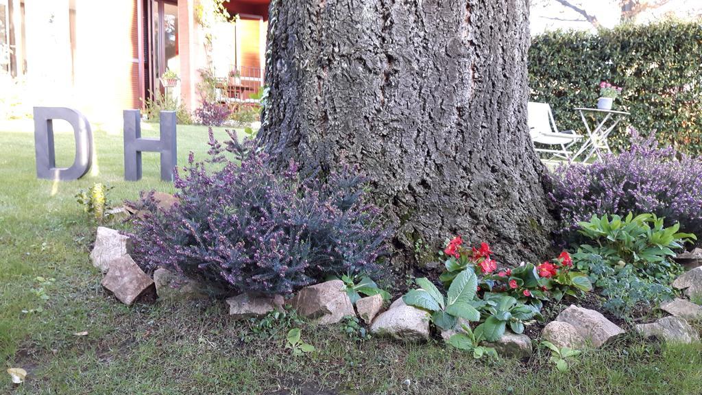 B&B Douglas House Varese Dış mekan fotoğraf